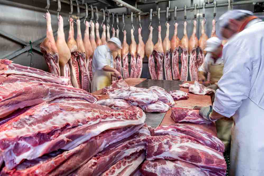 Des scientifiques souhaitent limiter la production de viande pour limiter les émissions de CO2
