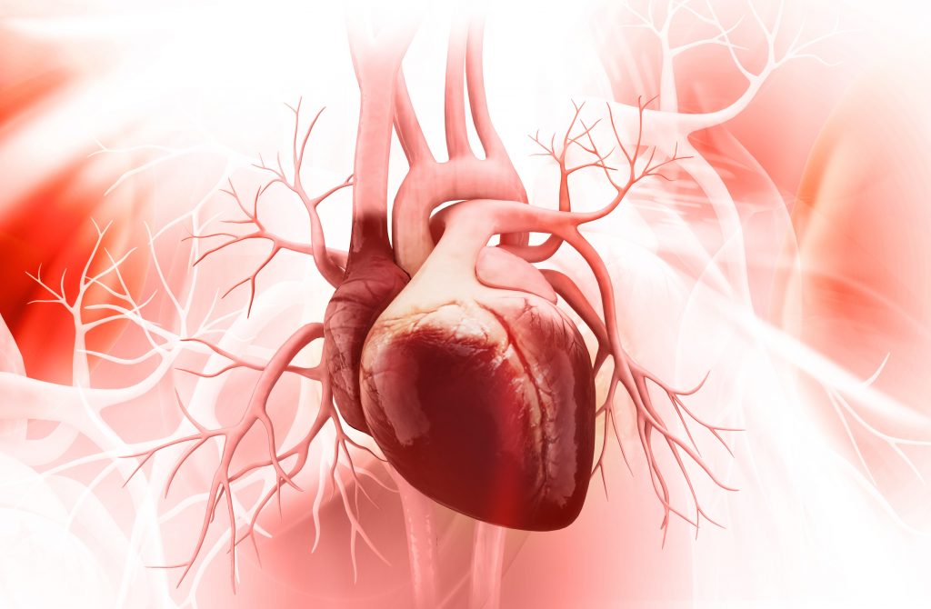 Magnesium- und Kaliummangel kann eine akute Gefahr fürs Herz darstellen!